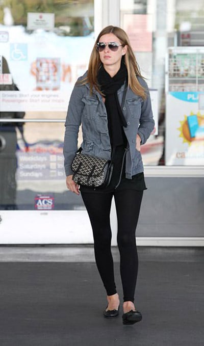 goyard cap vert crossbody
