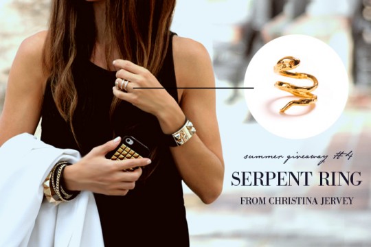 small-shop-summer-giveaway-4-christina-jervey-serpent-ring