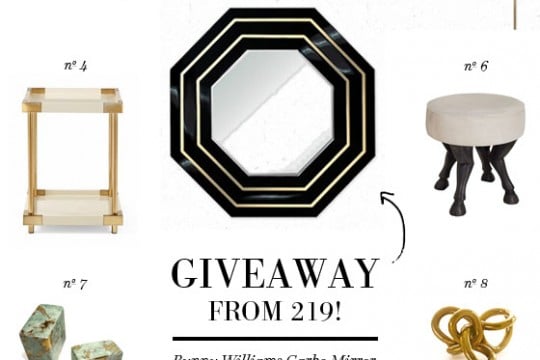 small-shop-giveaway-from-shop-219-Bunny-Williams-Garbo-mirror