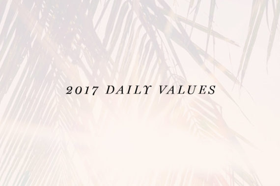 2017 daily personal core values Erika Brechtel PALM feat