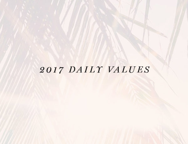 2017 daily personal core values Erika Brechtel PALM feat