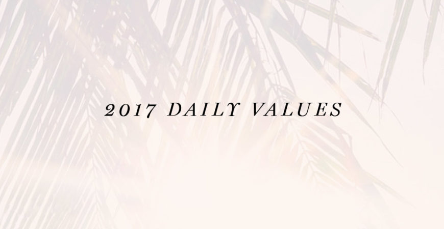 2017 daily personal core values Erika Brechtel PALM feat
