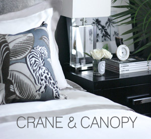 crane and canopy ad
